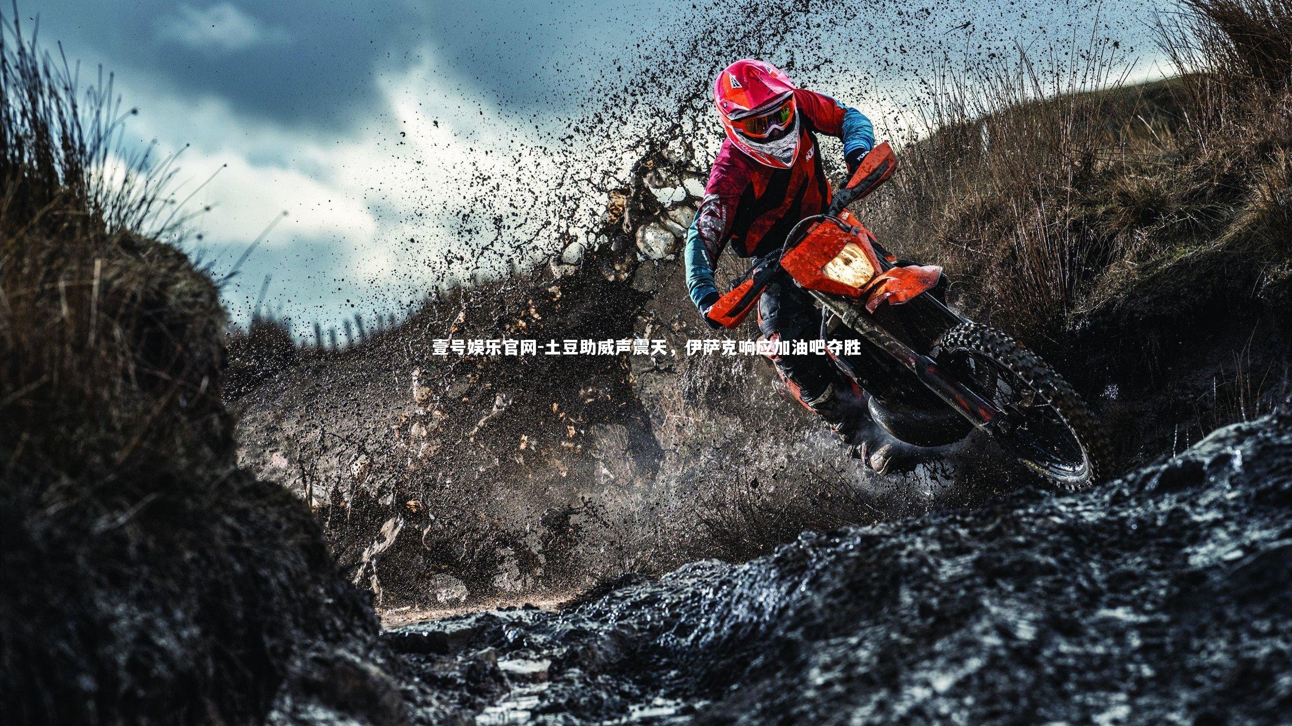 土豆助威声震天,伊萨克响应加油吧夺胜